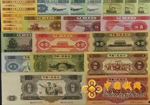 过年彩虹币最新爆料,最新爆料揭示神秘面纱