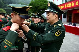 老兵服最新爆料图片大全,高清图片大赏，揭秘神秘战服风采